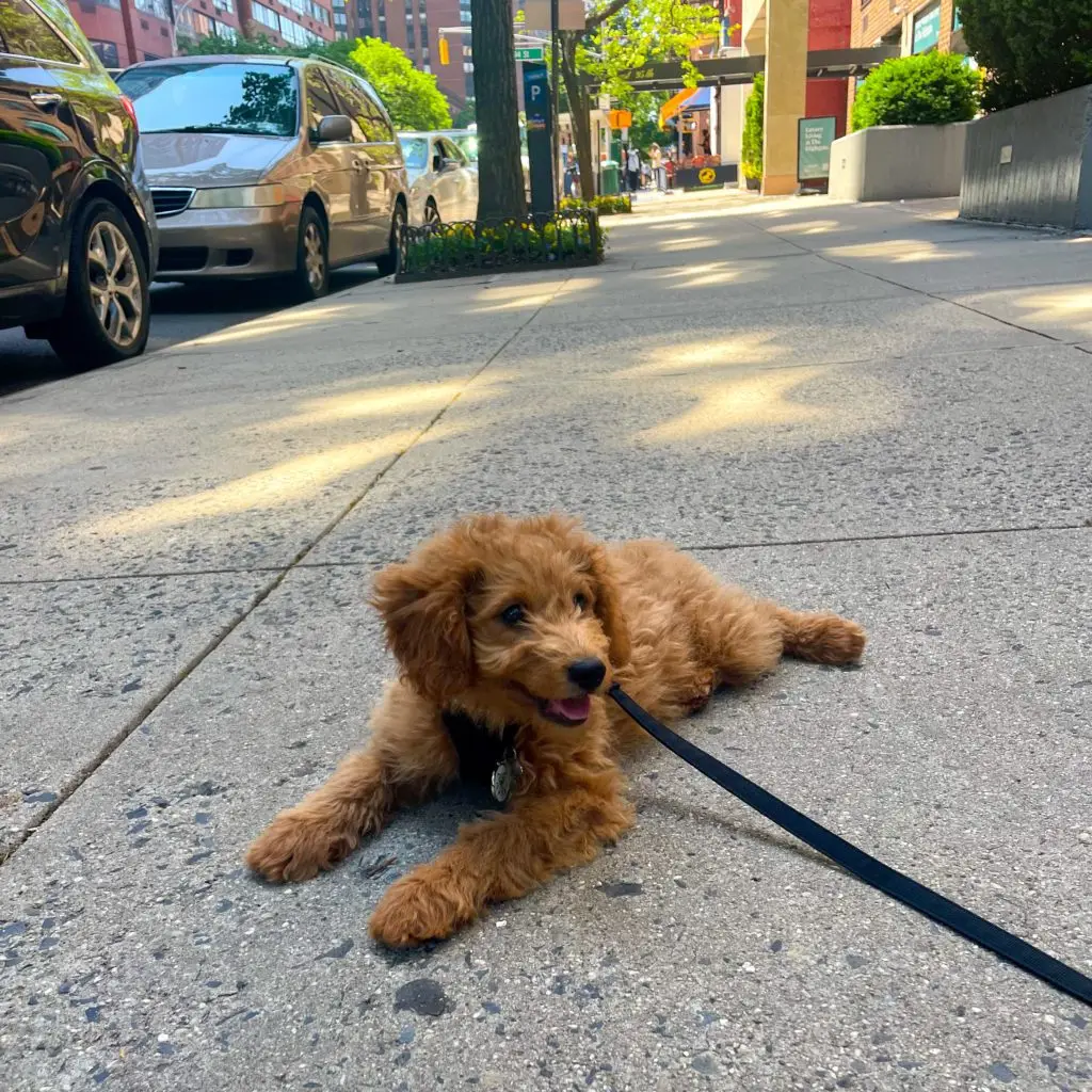 3BB33AAD 278F 45DE BE5B 360FAFCED7CD 1