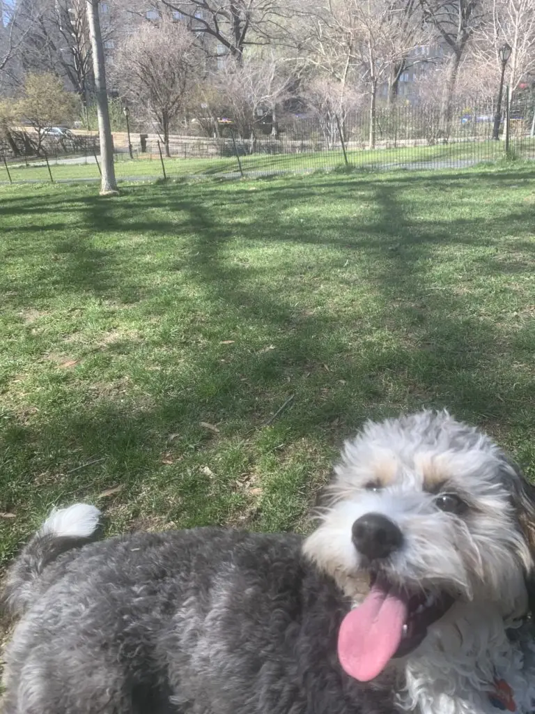 77036526 A823 4796 928A F9922E54B0D9