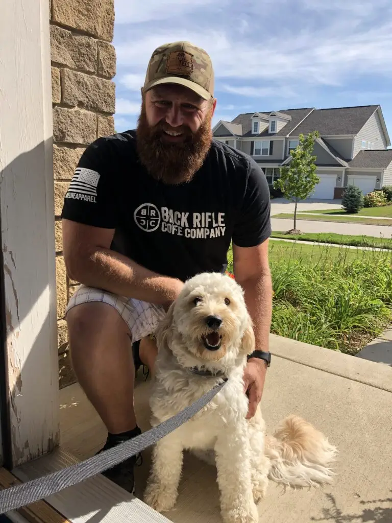 max the mini Goldendoodle