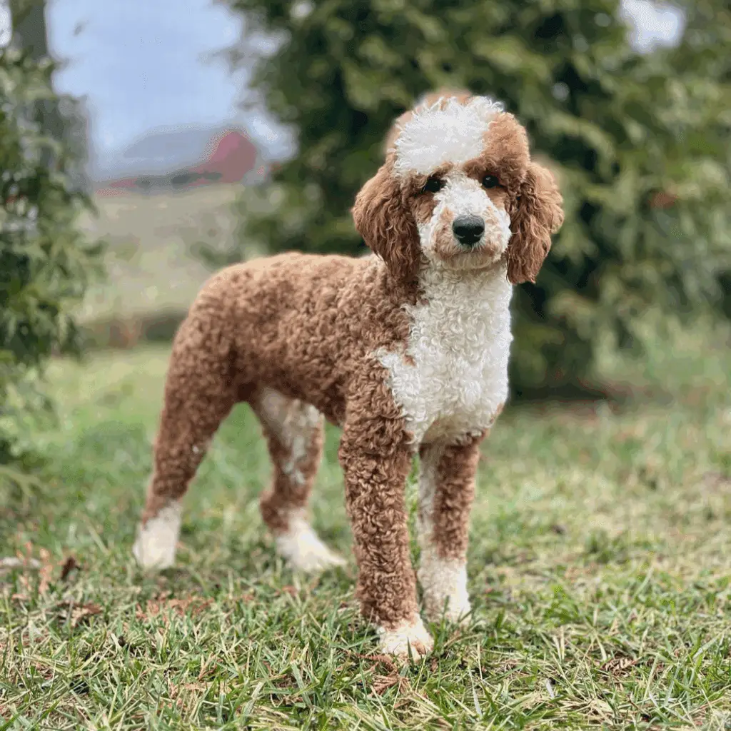 34069FB1 A918 4C58 9A80 32A02EFFF107