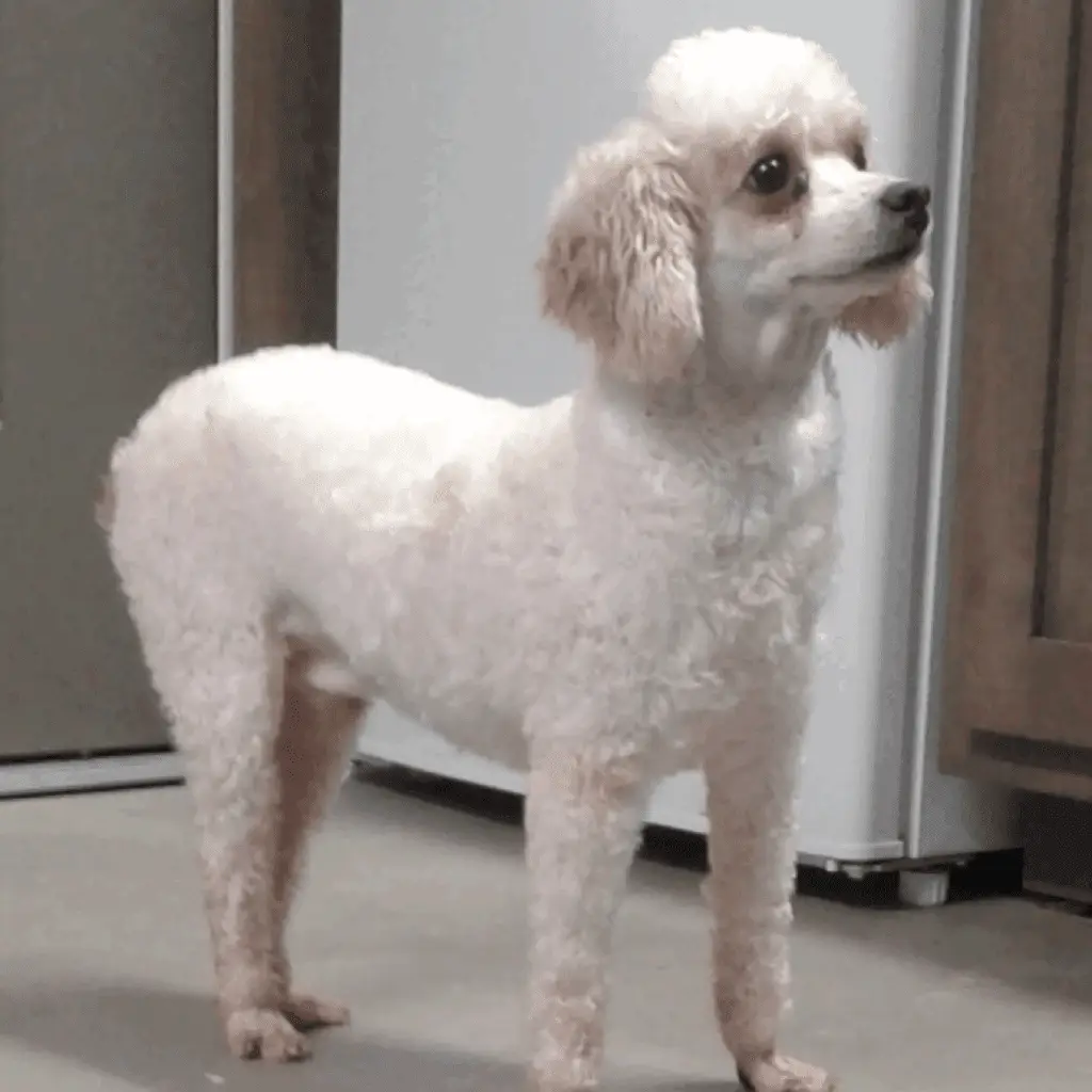 3F92B7D7 0E16 4BE3 A3C8 C99D9A42446A