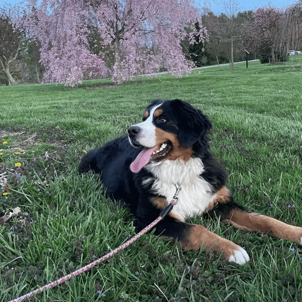 D94FD294 AAE6 4022 9320 5837C57EE2D4