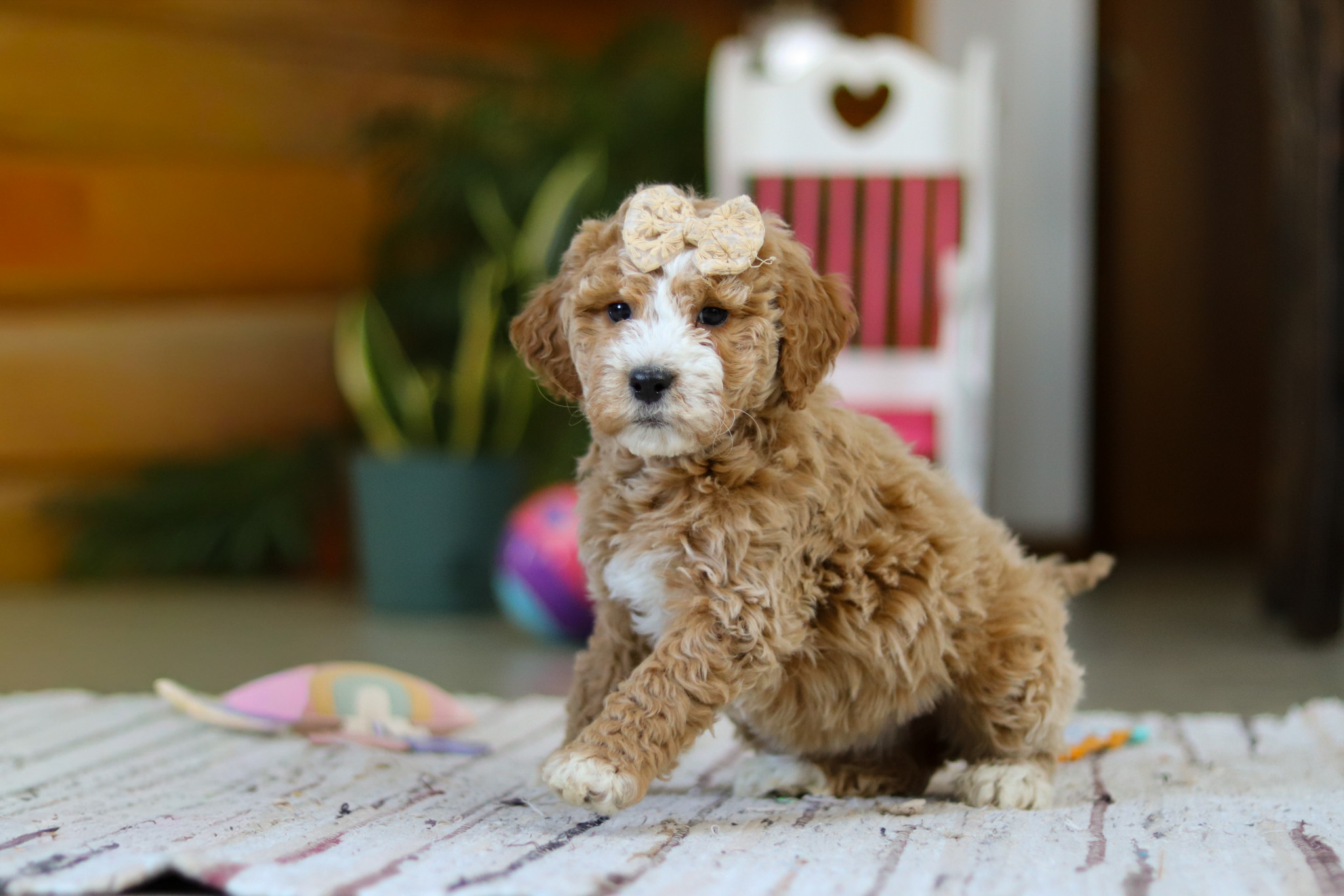 a560e14eb1f142cc1f04c2ee29ebf50cd0372675