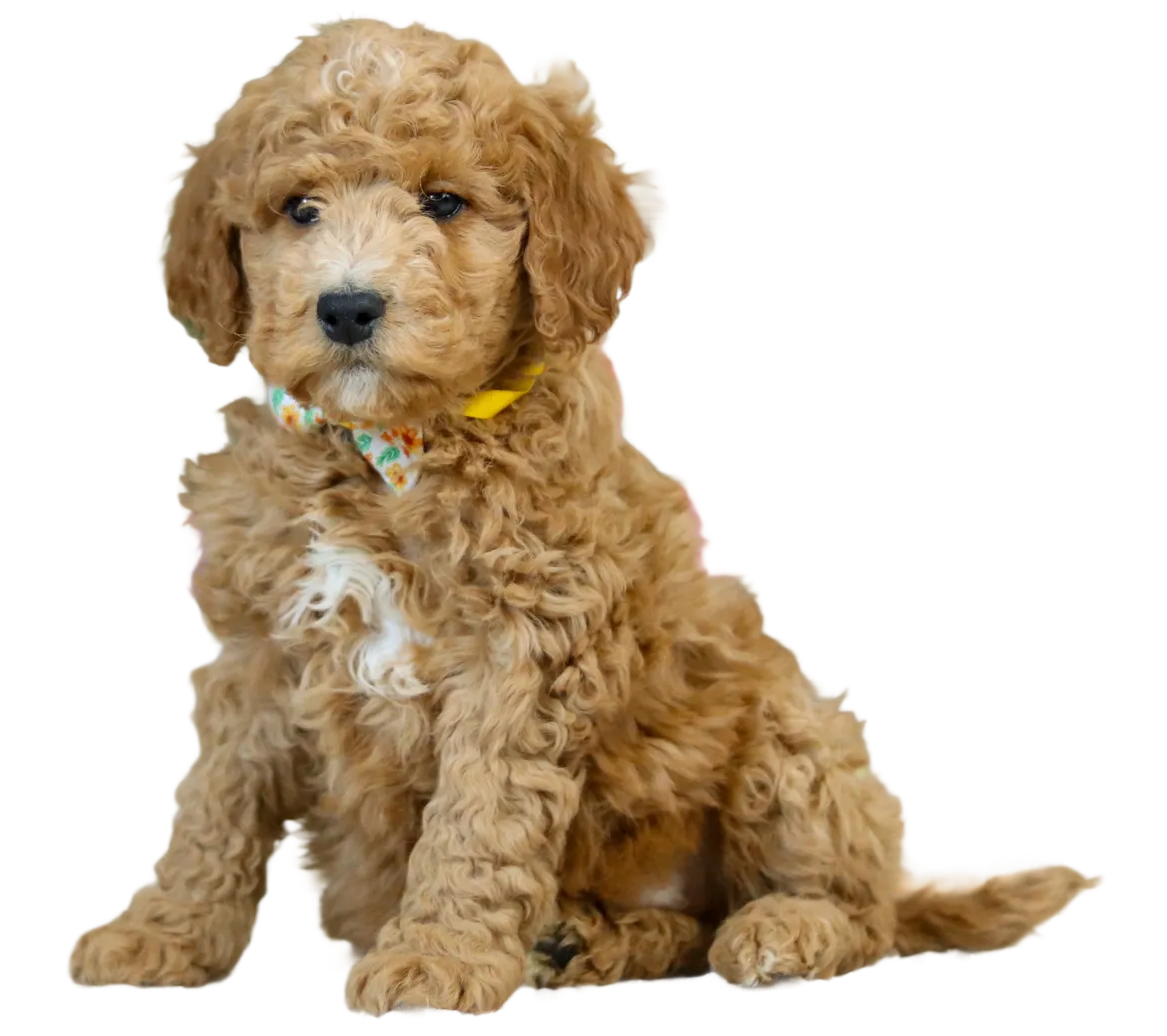 d74428be1a4a7051cfaab60947704f31cc681794 e1773346057373