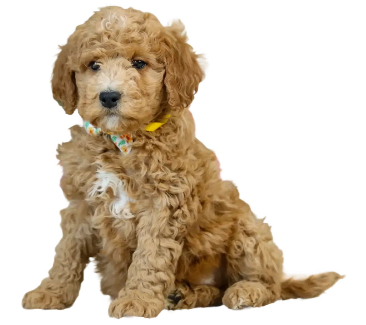 d74428be1a4a7051cfaab60947704f31cc681794 e1773346057373