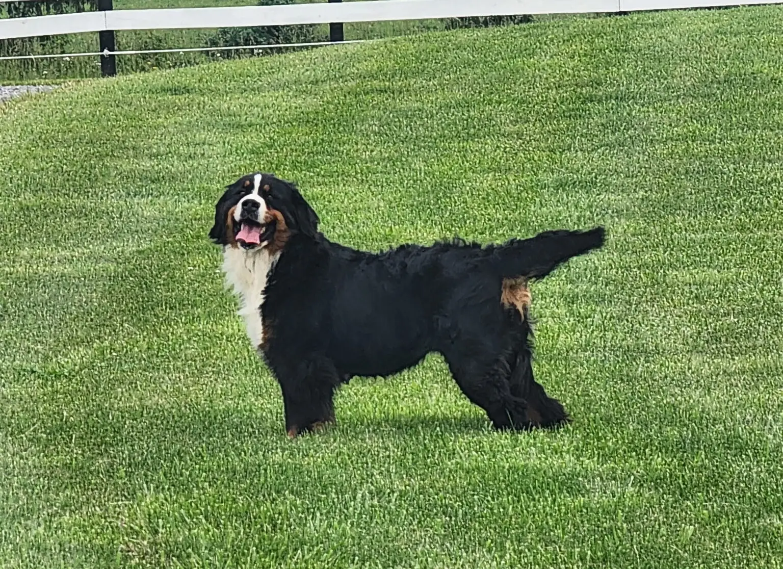 6114501712721090543 1 e1775838140850