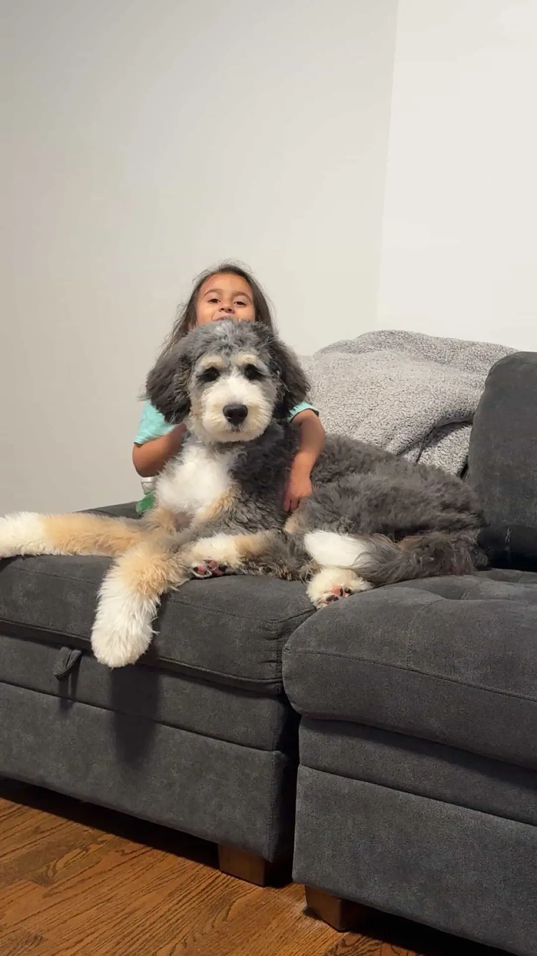 A young girl sits on a dark gray couch with a large fluffy dog resting across her lap, both looking toward the camera in a cozy living room.