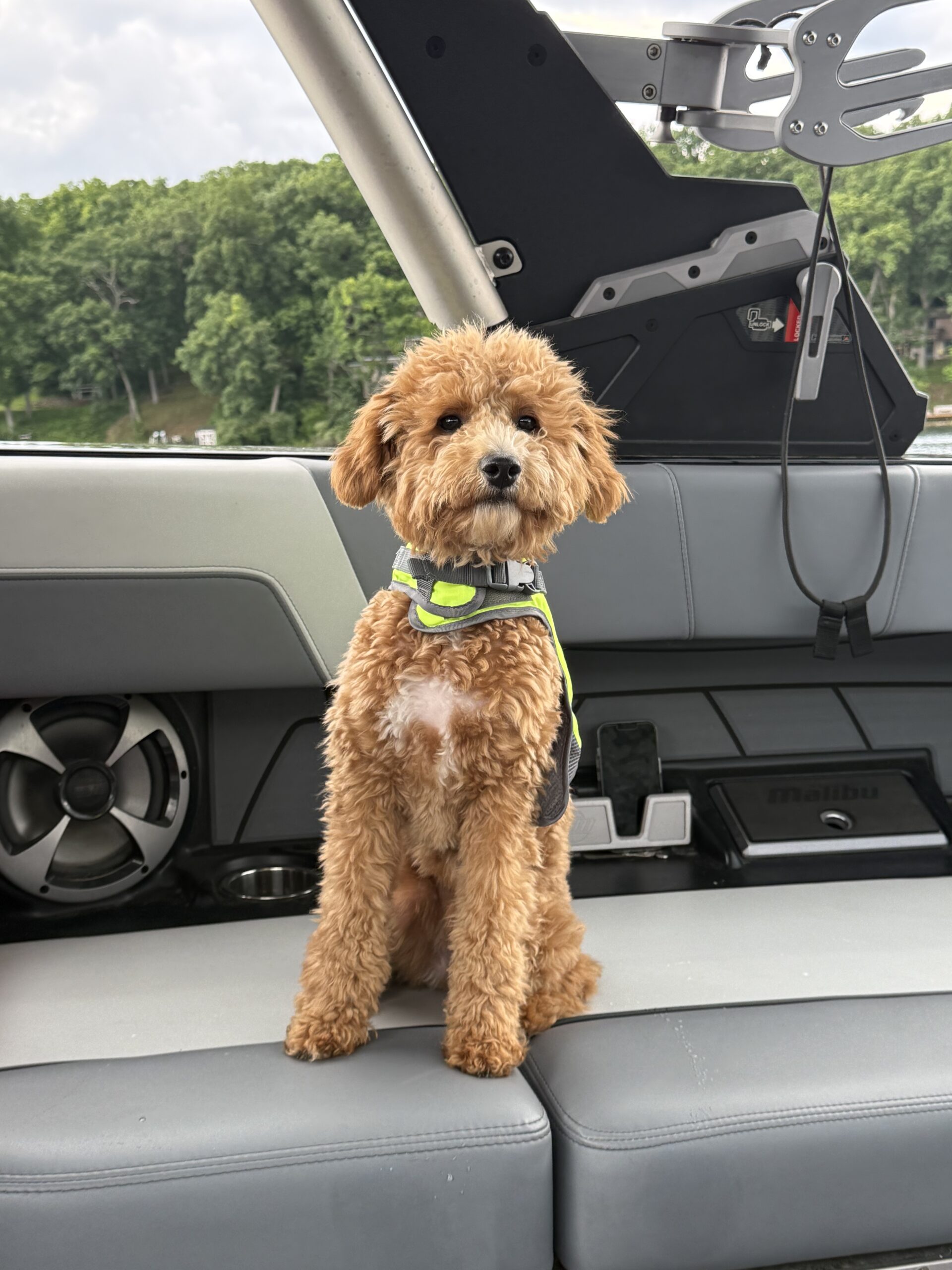 Fluffy brown dog wearing a neon-yellow harness sits on a gray boat seat with a launch/rigging mechanism behind it and water in the background.
